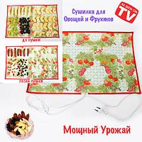 Сушилка-коврик электрическая для овощей и фруктов «Мощный Урожай» (55 х 33 см) ZZ113303-113305 Сушилка-коврик электрическая для овощей и фруктов «Мощный Урожай» (55 х 33 см)