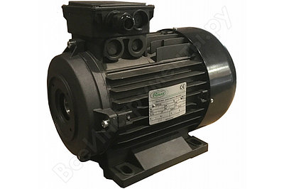 Электродвигатели Италия (RAVEL) Мотор H100, HP 4, 2P MA AC KW 3,0 2P