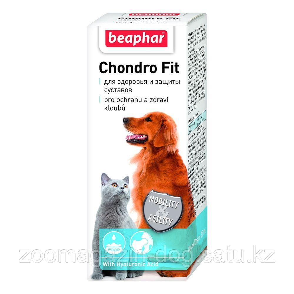 Beaphar Chondro Fit кормовая добавка для собак и кошек 35 мл