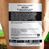 Набор для приготовления алкоголя "Абсент": набор трав и специй и бутылка, фото 3