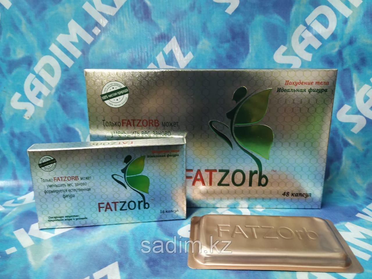 Fatzorb ( Фатзорб ) Картонная упаковка ( 48 капсул )