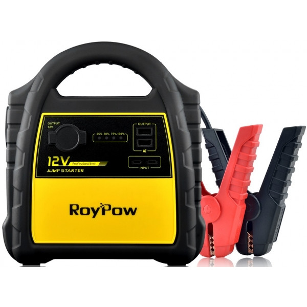 Пуско зарядное устройство RoyPow - фото 3 - id-p70422230