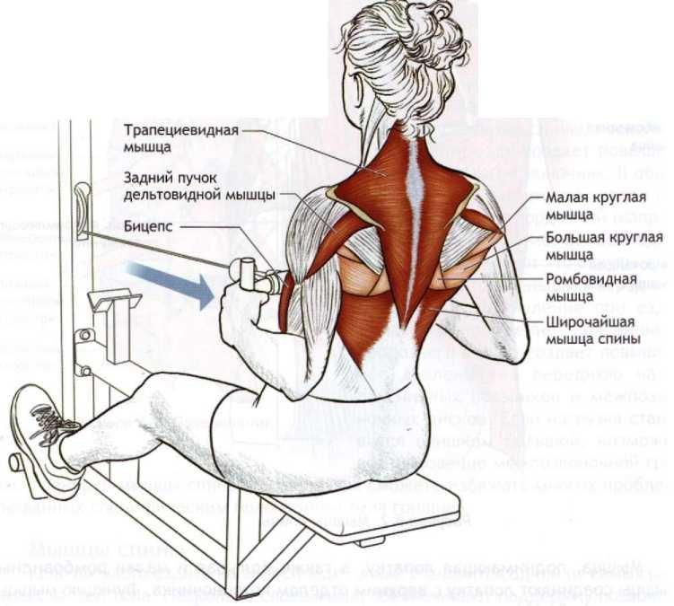 Рукоятка для тяги к животу, узкий параллельный хват для тренажеров (силовых станций) - фото 2 - id-p69005314