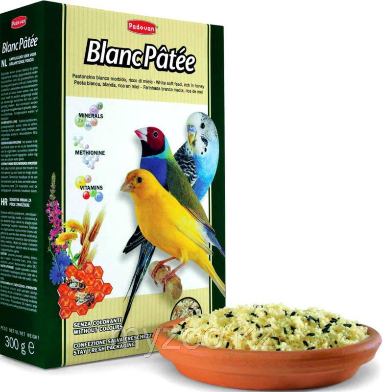 Padovan Корм BLANC PÂTÉE дополнительный/мёд д/декоративных птиц (300г)