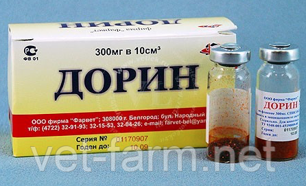 Дорин-Р
