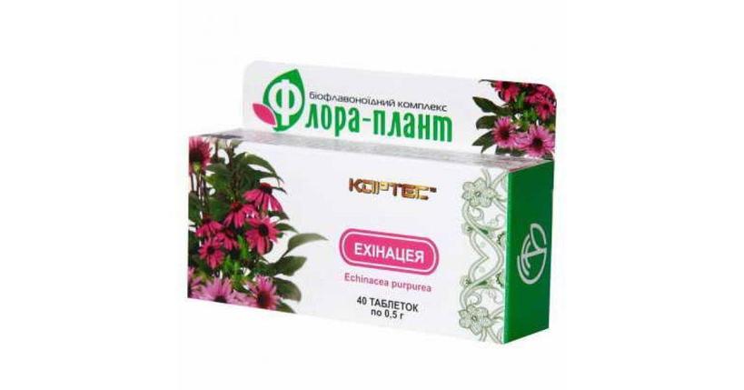 Препарат для иммунитета Флора-плант Эхинацея, фото 2