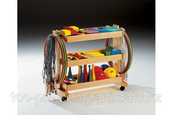 Тренажер для развития физиомоторики на деревянной тележке - фото 1 - id-p70970979