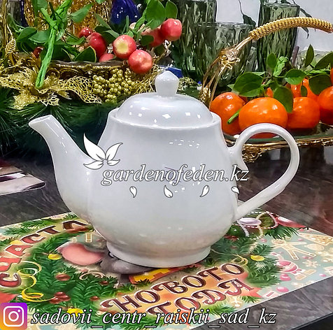 Чайник заварочный с крышкой, керамический. Цвет: Белый., фото 2