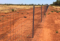 Забор из шарнирной сетки с установкой