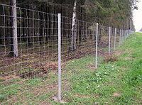 Фиксированная сетка 1,65 м