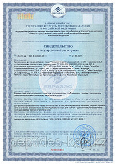 Қатыгез секс және кискаларды қорлау туралы әңгімелер