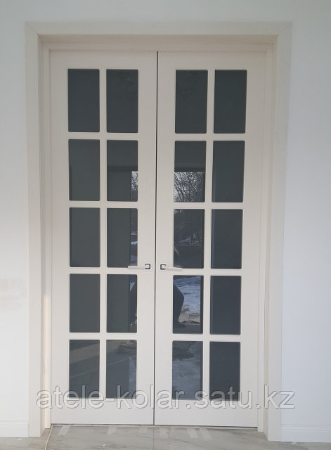 Ол қолын оның кискасына шынтағына дейін қойды. Фото. Ол ішке кіргісі келді (бейне)