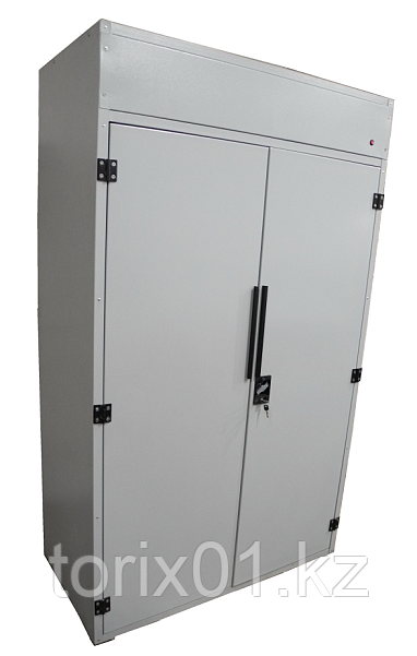 Шкаф огнестойкий для хранения ЛВЖ: продажа, цена в Талгаре ...