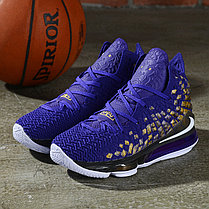 Баскетбольные кроссовки Nike Lebron 17 (XVII ) from LeBron James, фото 3