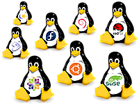 Установка и настройка ОС Linux