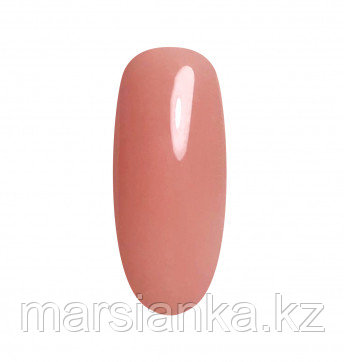 AcryGel Nail Best 05 камуфляж, 30мл, фото 2