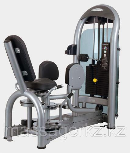 MATRIX G3 S75 Отведение ног (СЕРЕБРИСТЫЙ)