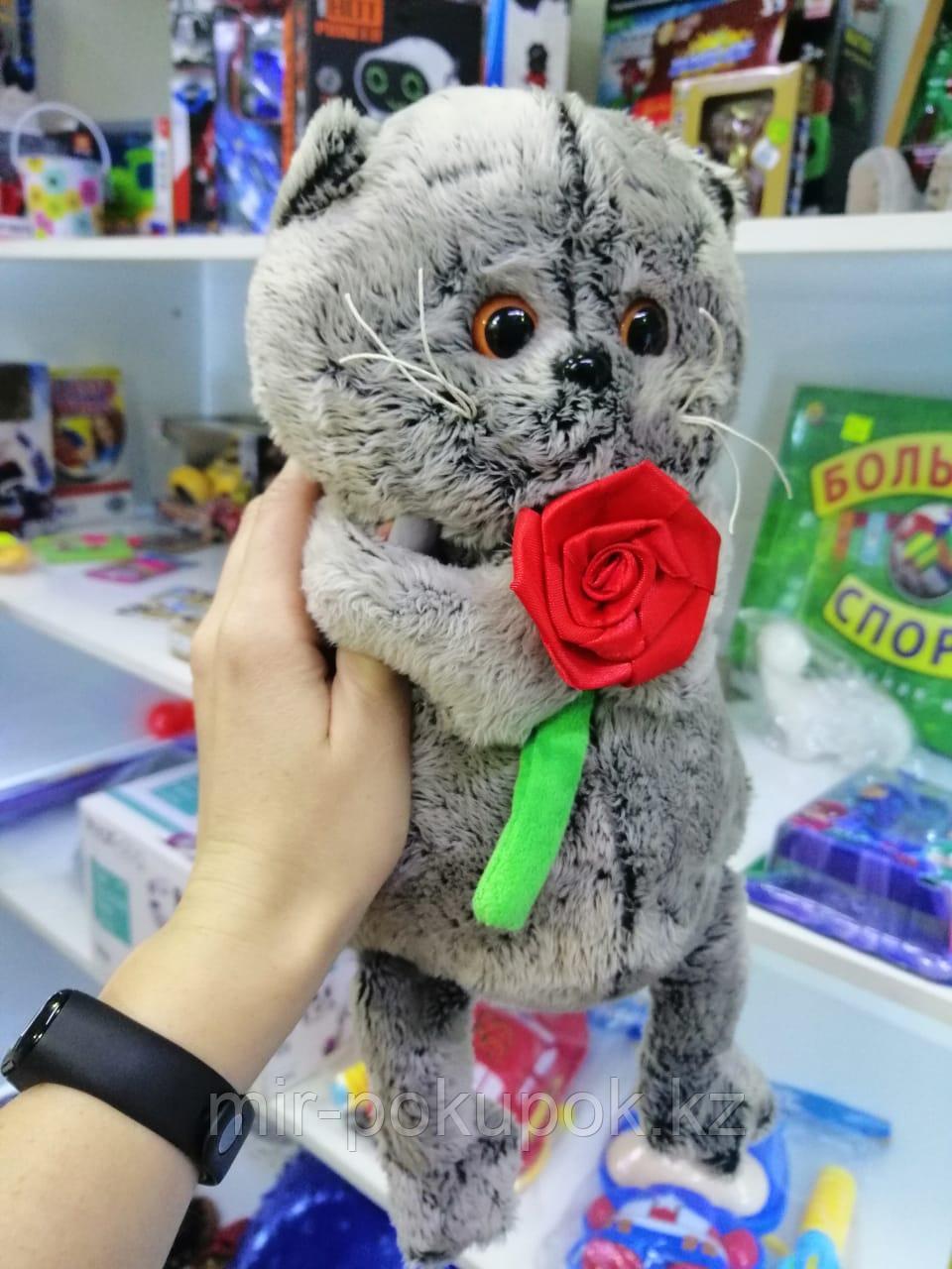 Мягкая игрушка Кот Басик 25 см с розой