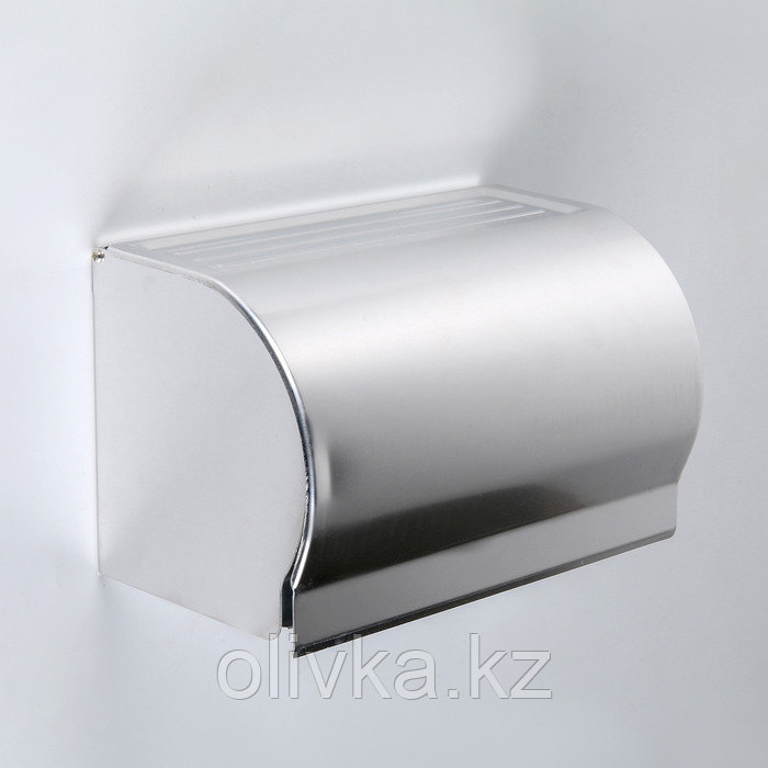 Держатель для туалетной бумаги на два рулона 20,5×12×12,6 см, без втулки, нержавеющая сталь