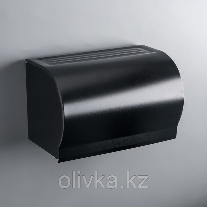 Держатель для туалетной бумаги на два рулона 20,5×12,5×12 см, цвет чёрный