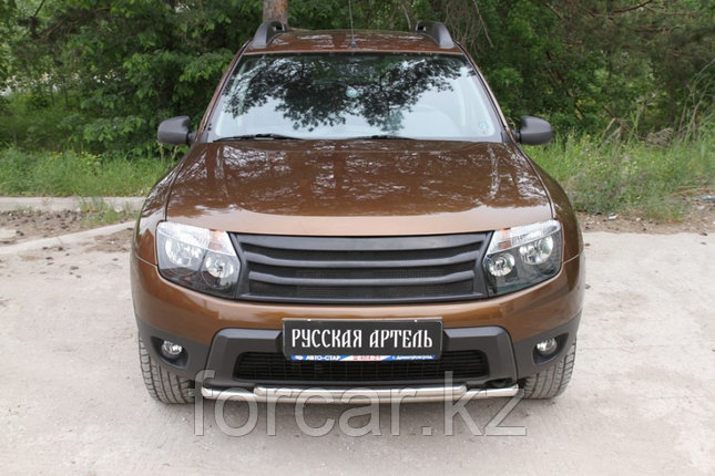 Решётка радиатора. Вариант 2 с черной сеткой Renault Duster 2010-, фото 2