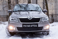 Зимняя заглушка решетки переднего бампера Skoda Fabia II 2010-2013, фото 2