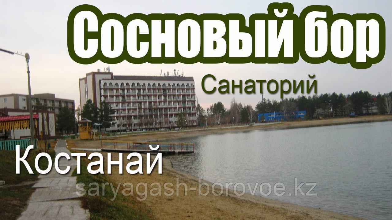 Костанайская область, Санаторий "Сосновый Бор" 2024 г