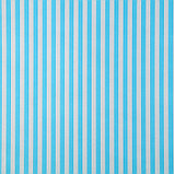 Бумага упаковочная крафт "Полоски голубые", 0,5 х 10 м, 70 г/м² /м2, фото 2