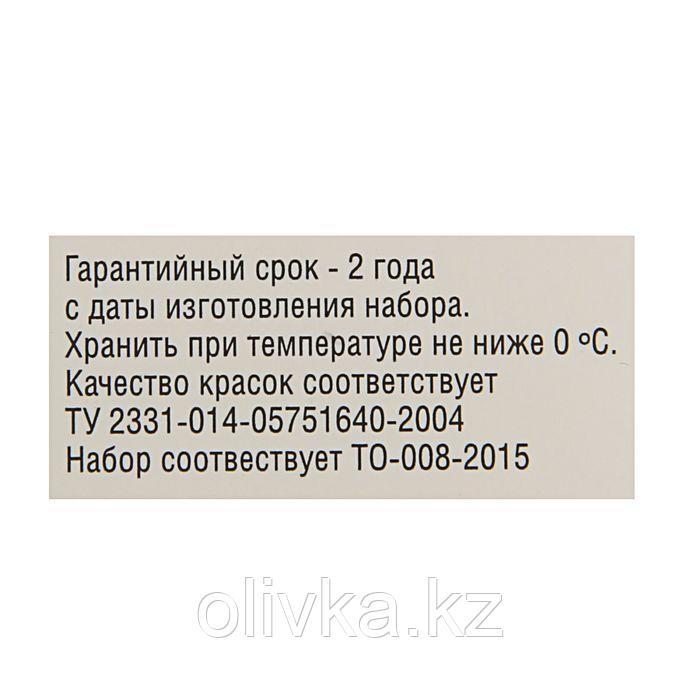 Акварель художественная в кюветах, 16 цветов х 2.5 мл, ЗХК "Ленинград-2", 1941020 - фото 2 - id-p71463608