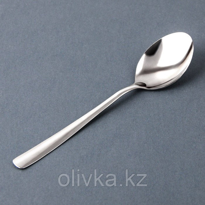 Ложка столовая «Нью Гастро», h=19,5 см