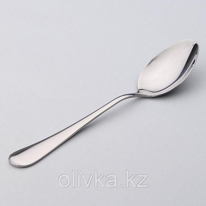 Ложка столовая «Моника», h=20 см