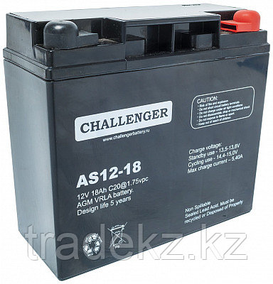 Аккумуляторная батарея CHALLENGER AS12-18