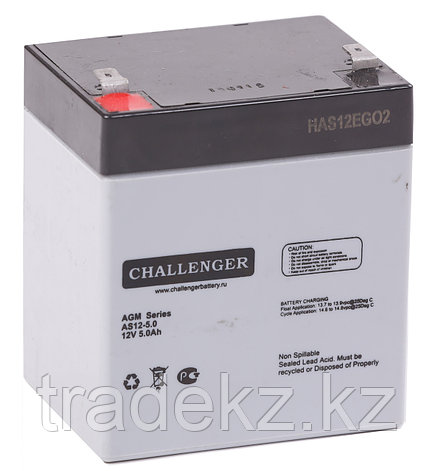 Аккумуляторная батарея CHALLENGER AS6-4.0S, фото 2