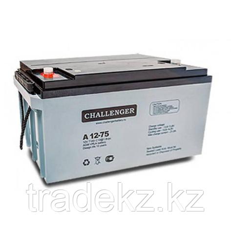Аккумуляторная батарея CHALLENGER A12-75, фото 2