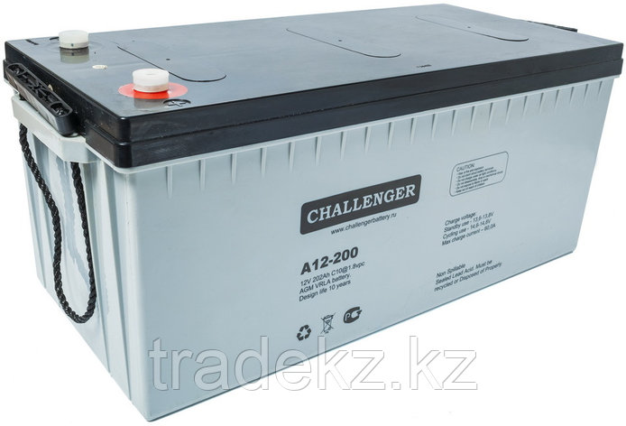 Аккумуляторная батарея CHALLENGER A12-160, фото 2