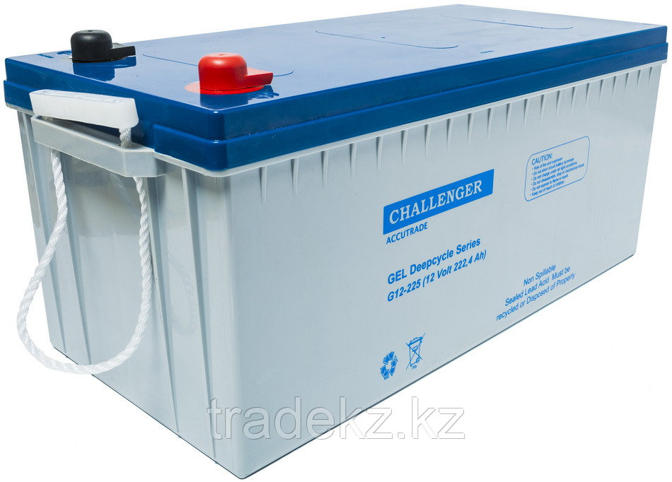 Аккумуляторная батарея CHALLENGER G12-225