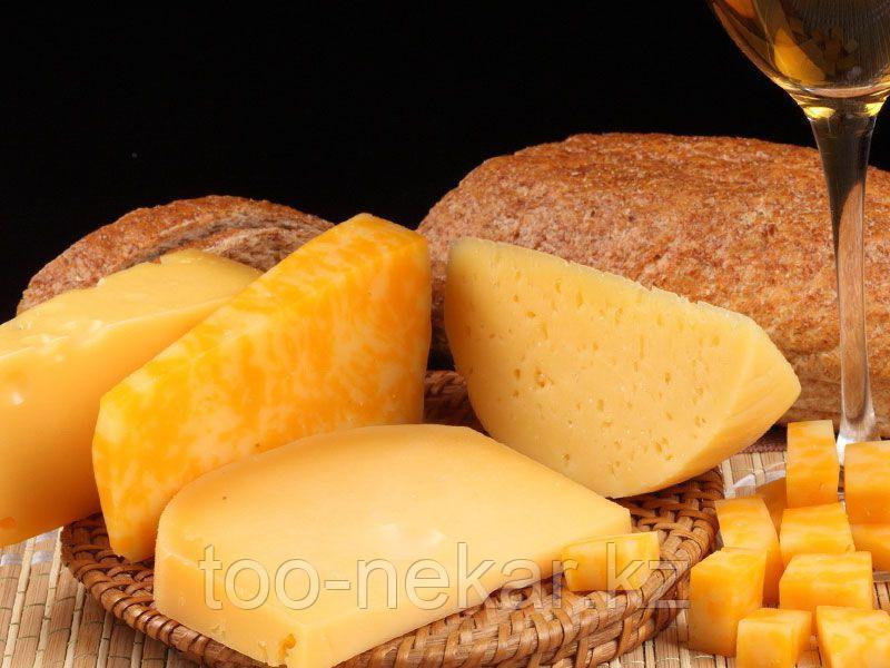 Сыроварня твердых сыров на 300 л/сутки - фото 1 - id-p71503639