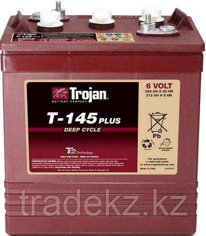 Аккумуляторная батарея TROJAN T145+, фото 2