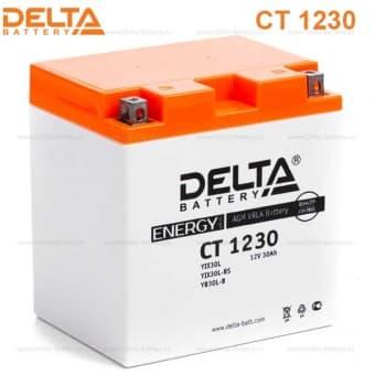 Аккумулятор Delta CT 1230 (12V / 30Ah) [YTX30L-BS, YB30L-B, YTX30L]
