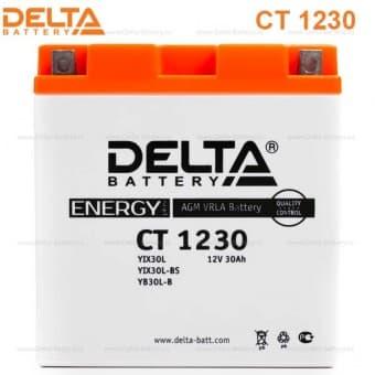 Аккумулятор Delta CT 1230 (12V / 30Ah) [YTX30L-BS, YB30L-B, YTX30L] - фото 2 - id-p71538748