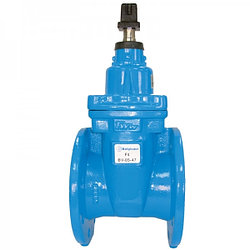 Задвижка Belgicast (Talis) dn300 pn 10/16