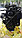 Двигатель Cummins 6CTA8.3-C215 Евро-2 на фронтальный погрузчик XGMA XG955H, грейдер XCMG GR215, фото 4