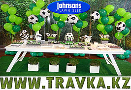 Сладкий газон 1