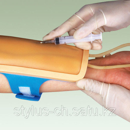 Учебная накладка для внутривенных инъекций - 5 штук (1 комплект) General Doctor Китай - фото 3 - id-p71555589
