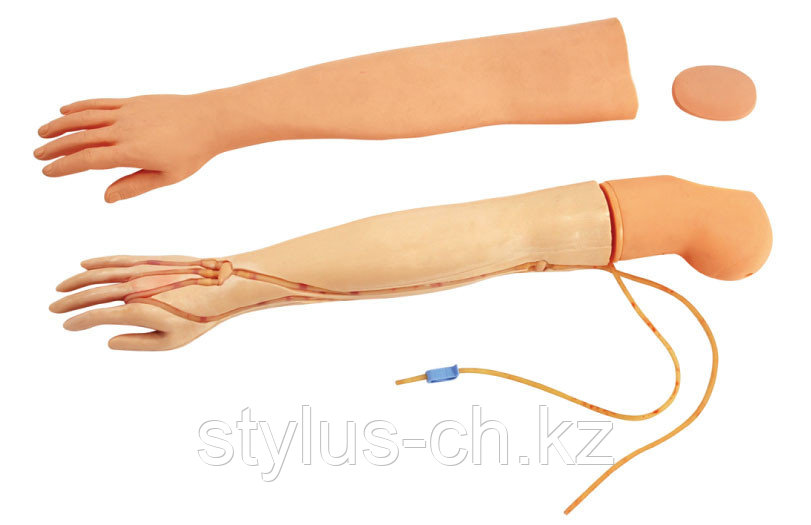 Полнофункциональная модель руки для внутривенных инъекций (взрослая) General Doctor