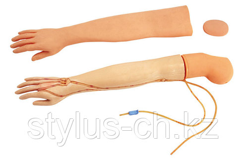 Мас ұйықтап жатқан әйелдердің порносын қараңыз