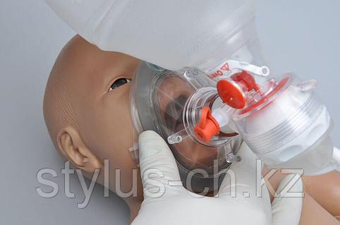 Мас ақымақтар