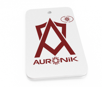 Защита от техно- и геопатогенных зон Ауроник Про (Auronik Pro)