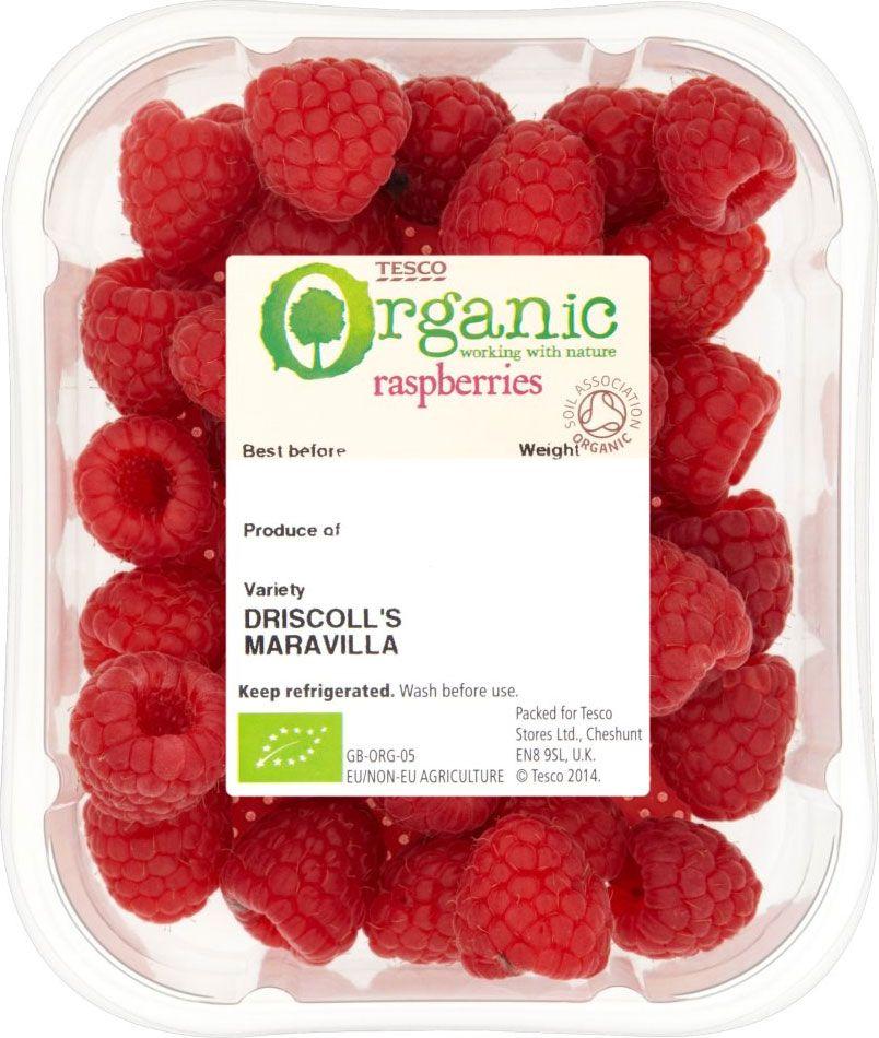 Малина "Маричка" ОКС (связка 20шт), фото 1