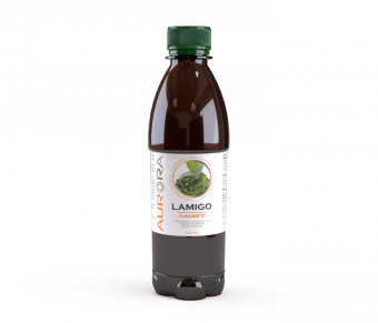 Ламиго (Lamigo). Компания "Аврора"